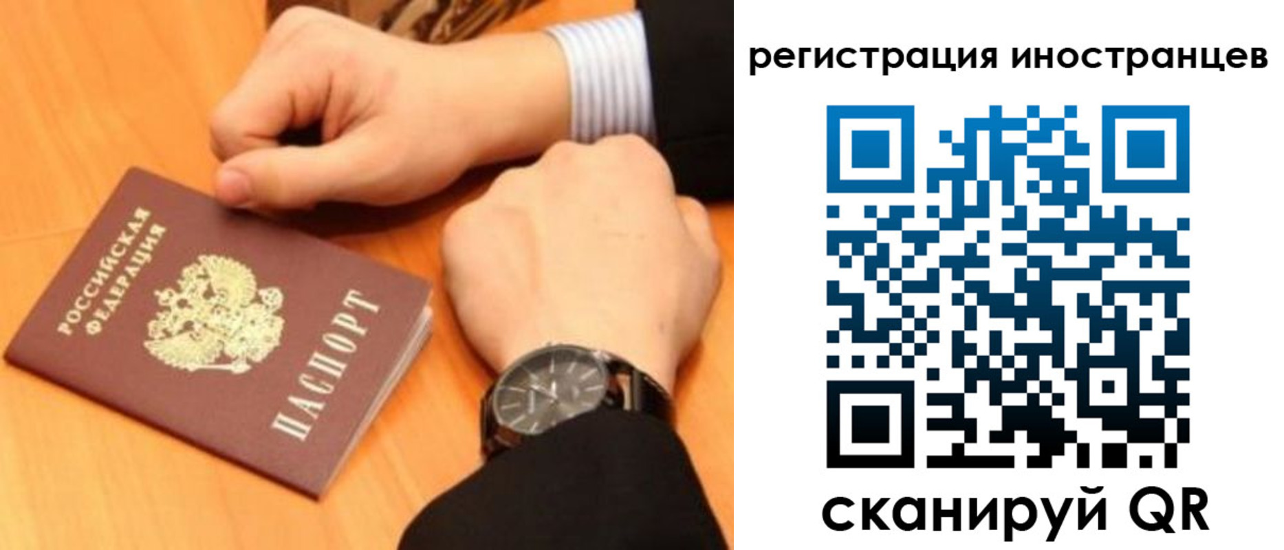 прописка гарантия в Приозерске